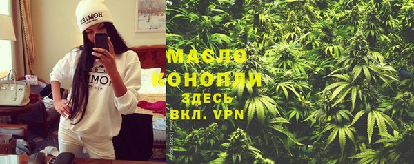 соль ск Михайлов