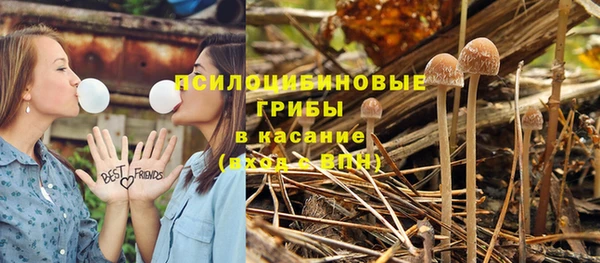 гидропоника Михайловск