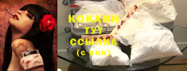 соль ск Михайлов