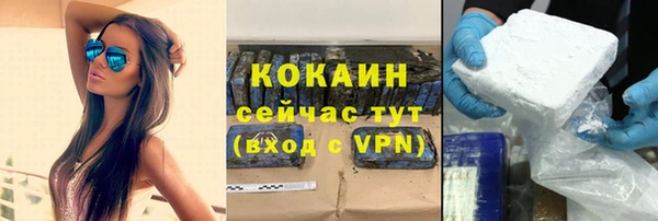 соль ск Михайлов
