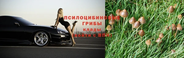 гидропоника Михайловск