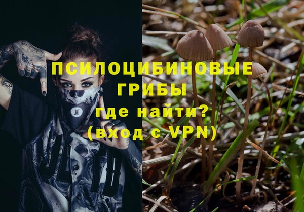 соль ск Михайлов