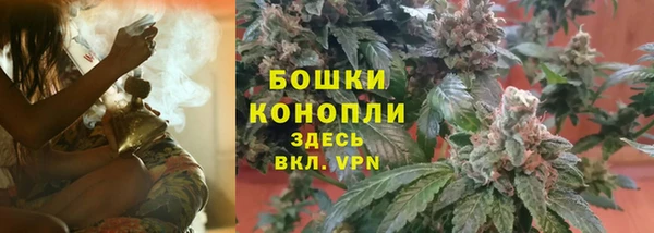 соль ск Михайлов