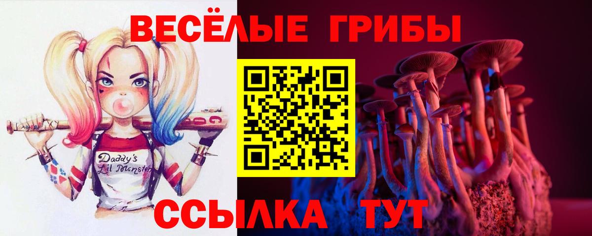 Галлюциногенные грибы MAGIC MUSHROOMS Прохладный
