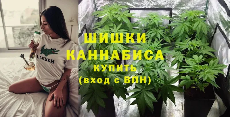 blacksprut ССЫЛКА  Прохладный  Конопля LSD WEED 